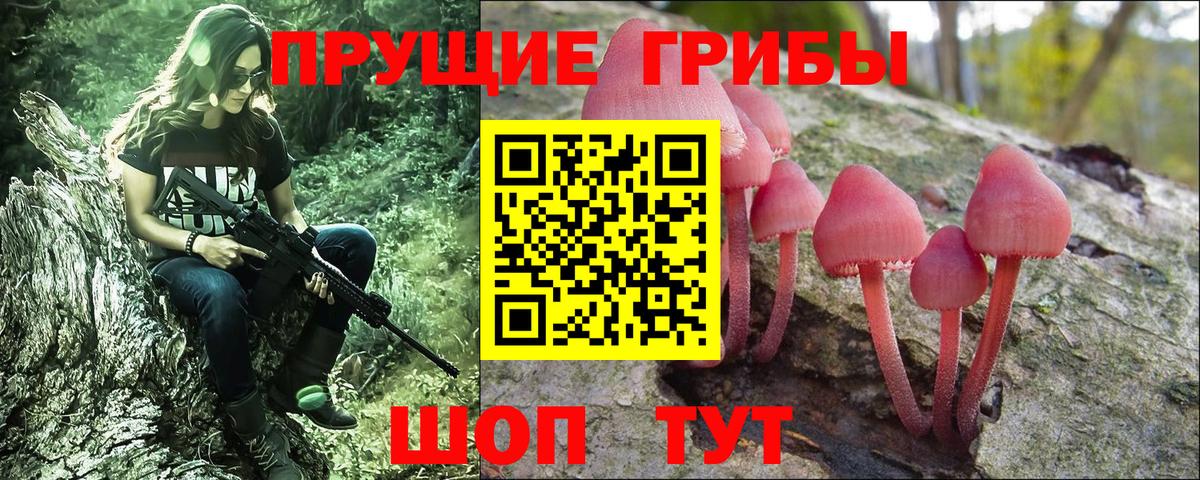 Галлюциногенные грибы Psilocybine cubensis Ефремов