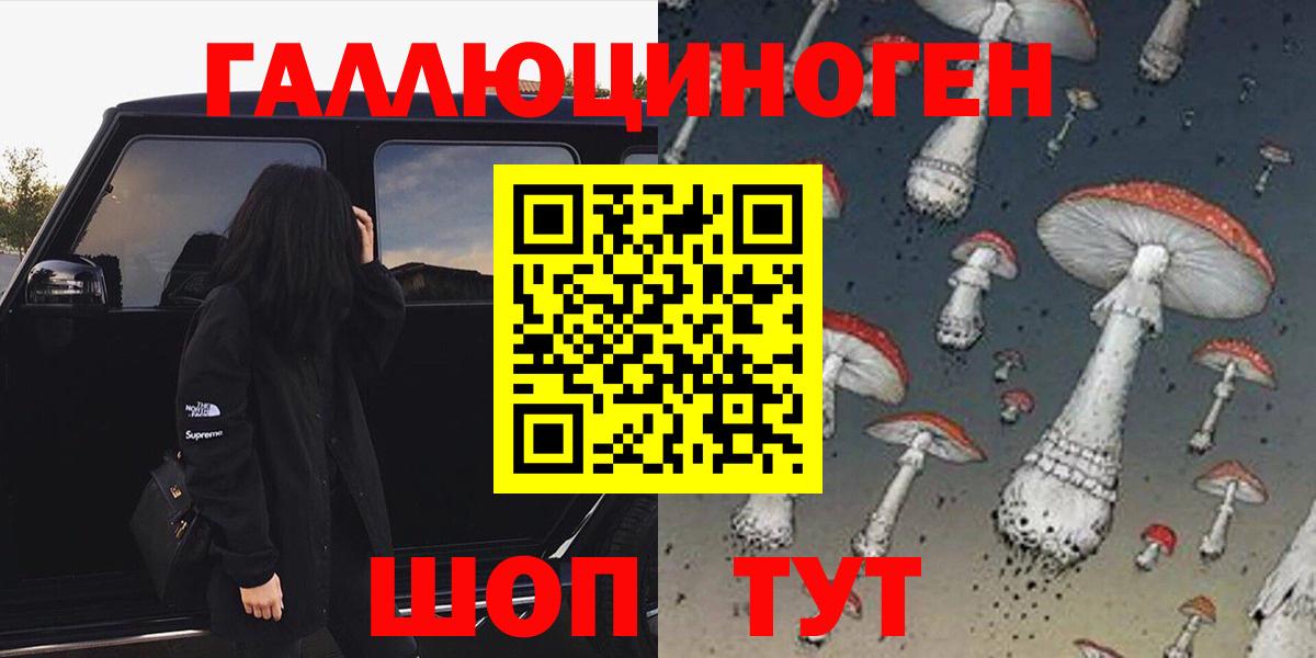 Ефремов  Галлюциногенные грибы прущие грибы  Вход с VPN  Галлюциногенные грибы Psilocybine cubensis 